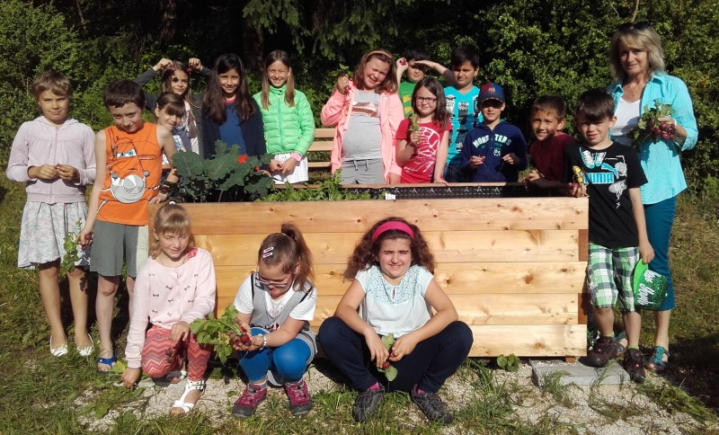 tl_files/tu-was/upload/bilder/Mostviertel-Mitte/Projekte/a_Fleckerl_Ernten_Kinder.jpg